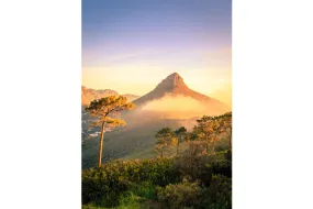 Lions Head