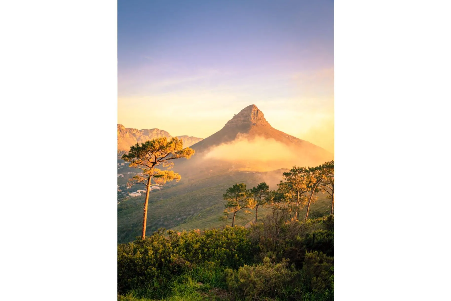 Lions Head