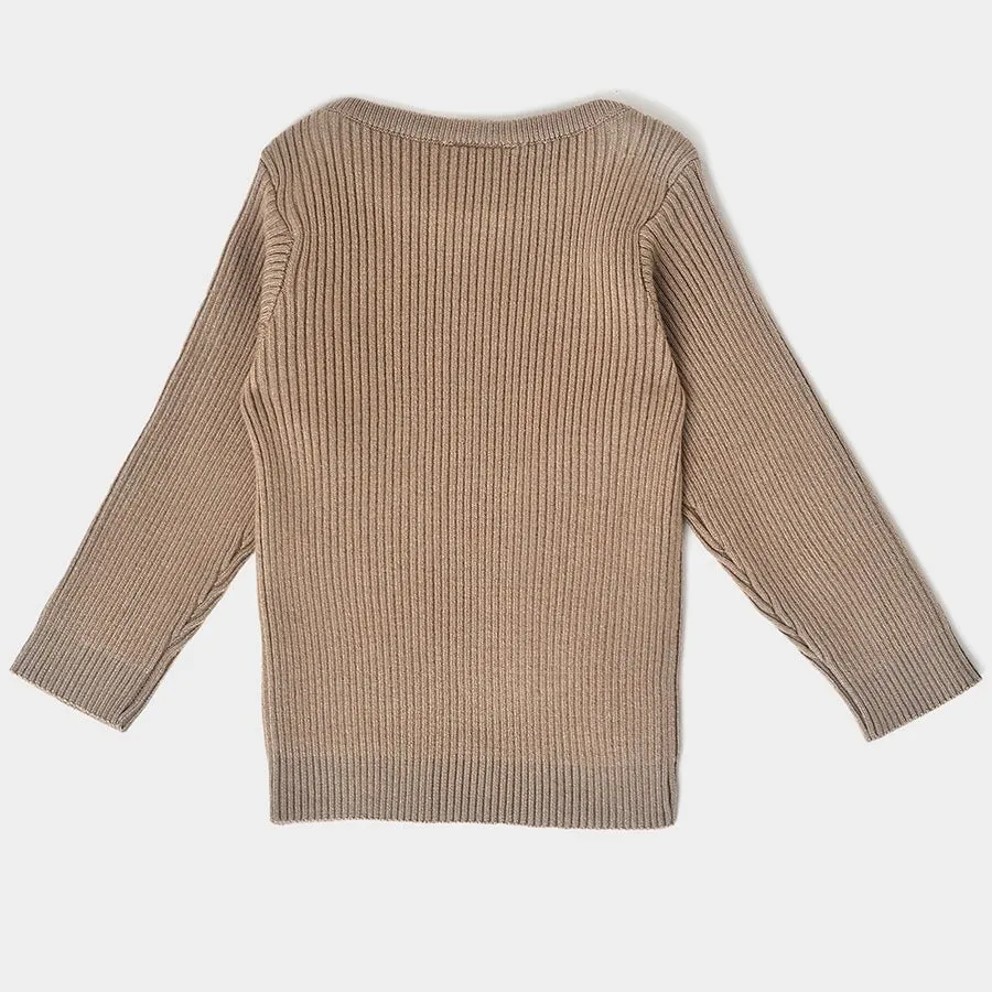 Misty Full Sleeve Knitted Thermal Brown Top