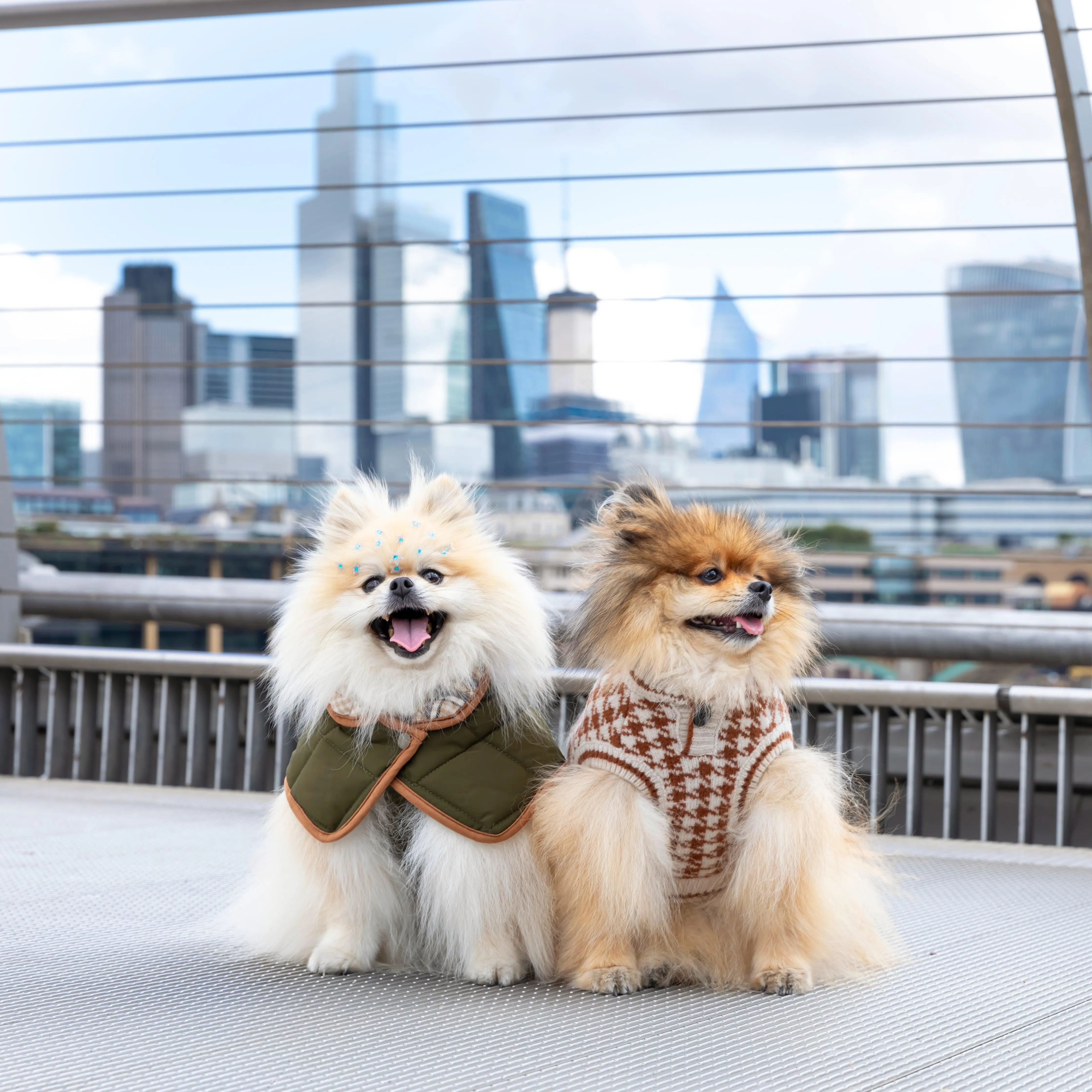 Oxford Quilted Dog Coat