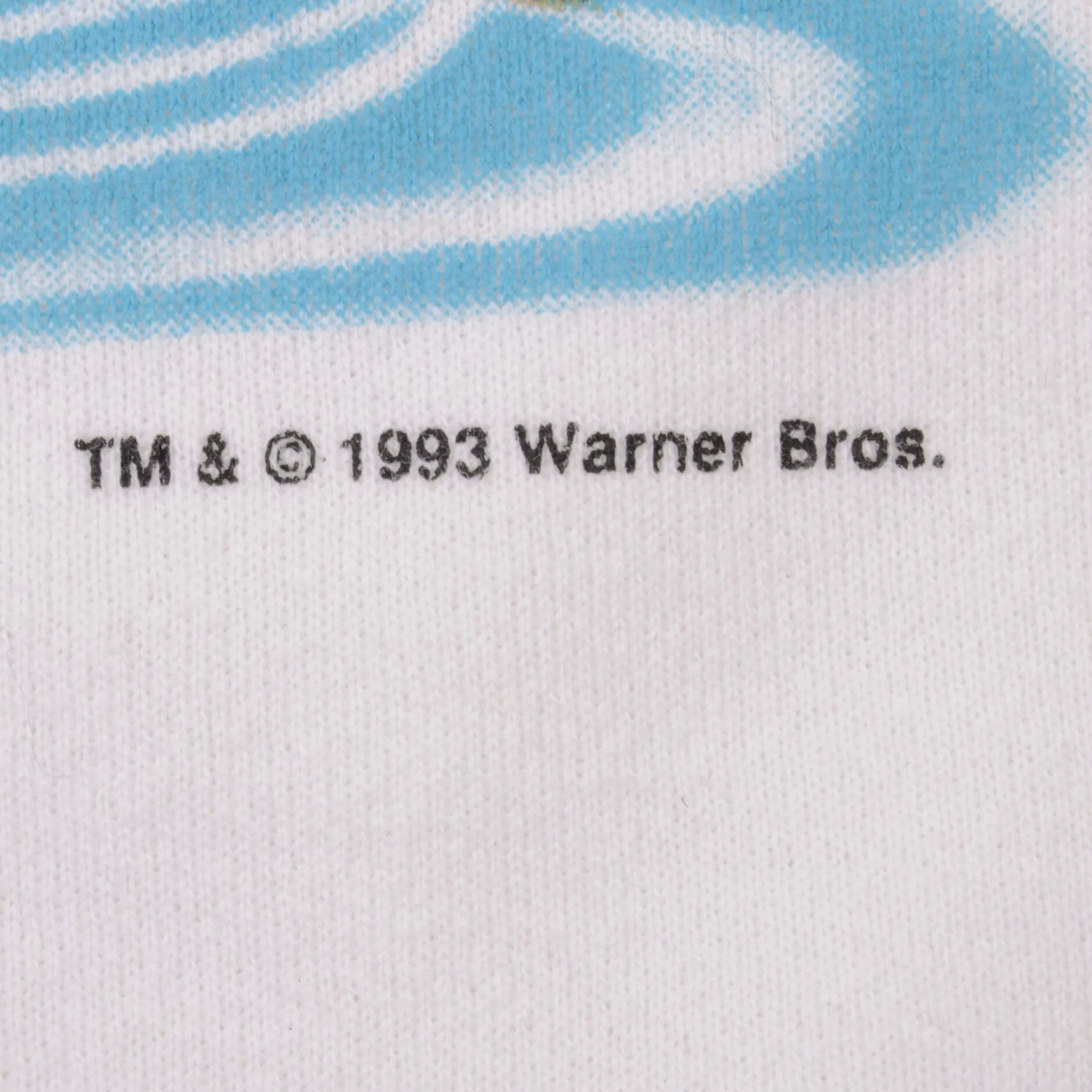 VINTAGE LOONEY TUNES TAZ FISHING SWEATSHIRT 1993 SIZE XL