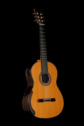 William Falkiner Lutherie 'Cedar / Indian Rosewood' Classical Guitar