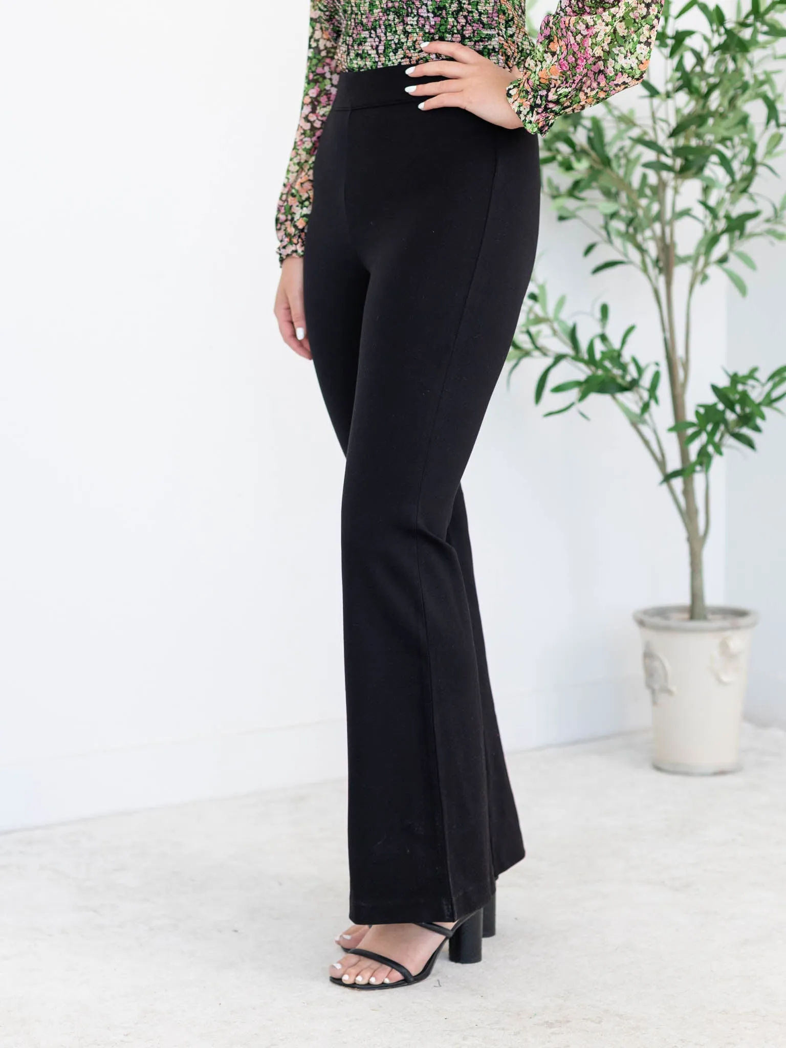 Z Supply Do It All Flare Pant